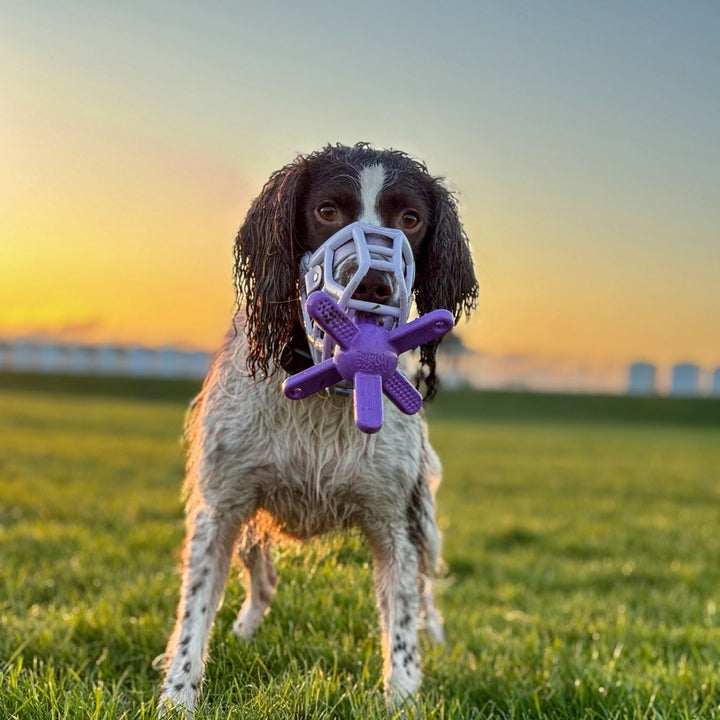 Muzzle Mates Muzzle Friendly Fetch Toy