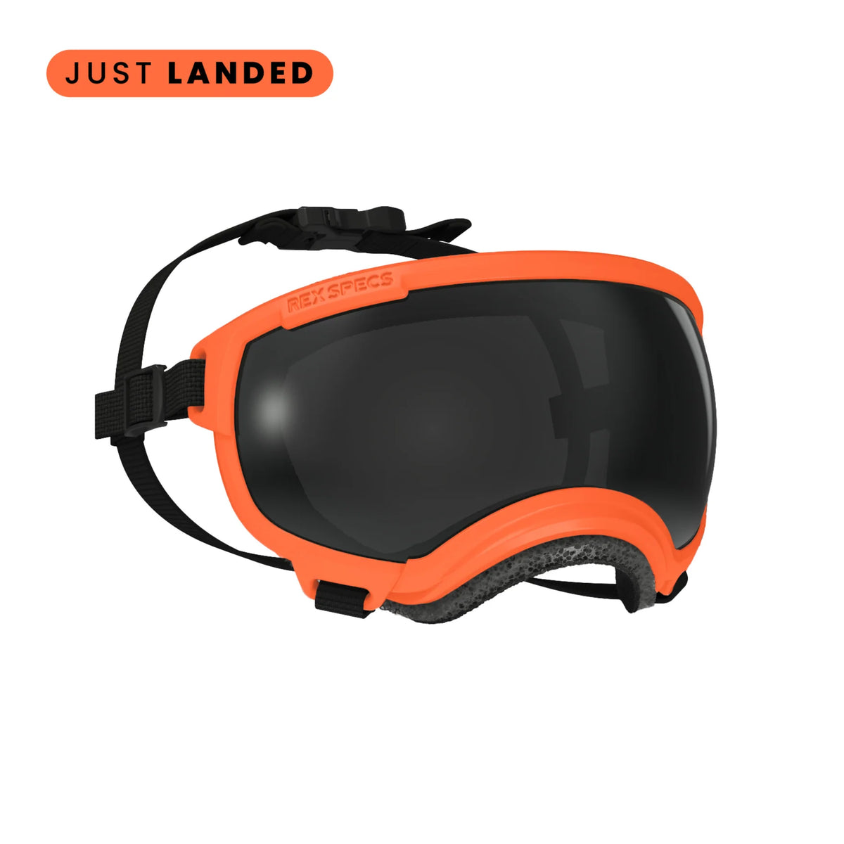 Rex Specs V2 Dog Goggles Medium