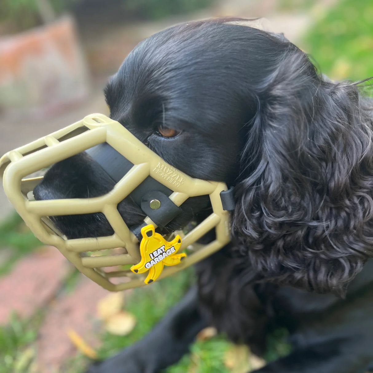 Snooties™ – Muzzle Charm