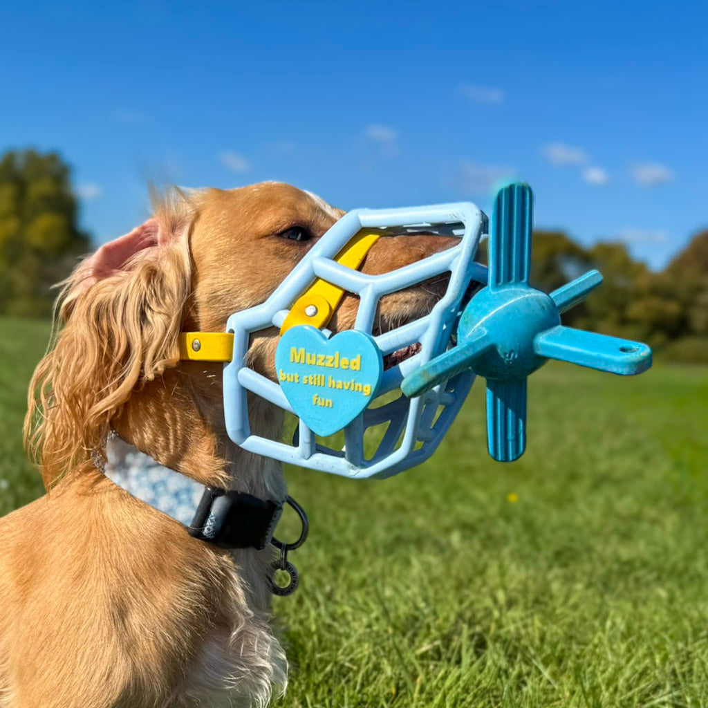 Muzzle Mates Muzzle Friendly Fetch Toy