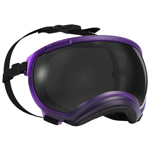 Rex Specs V2 Dog Goggles Medium