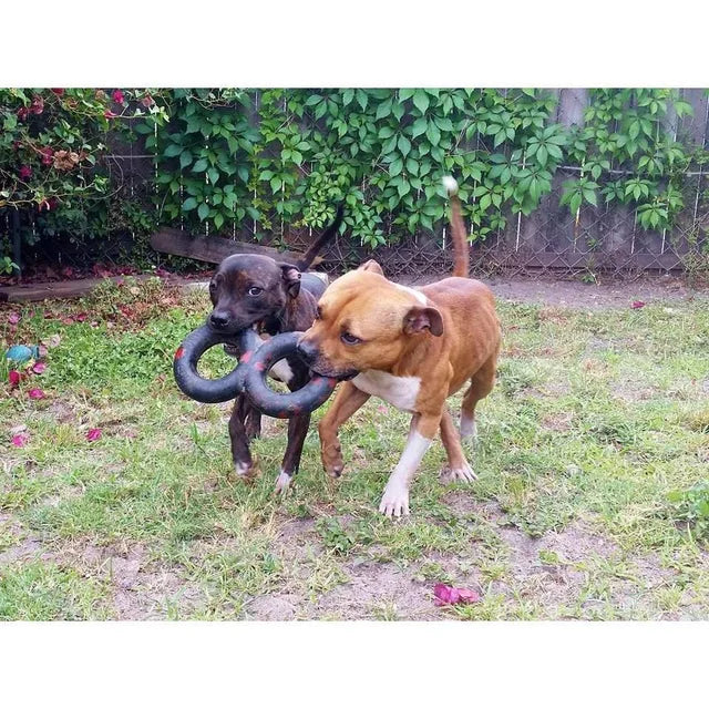 Goughnuts Heavy Duty