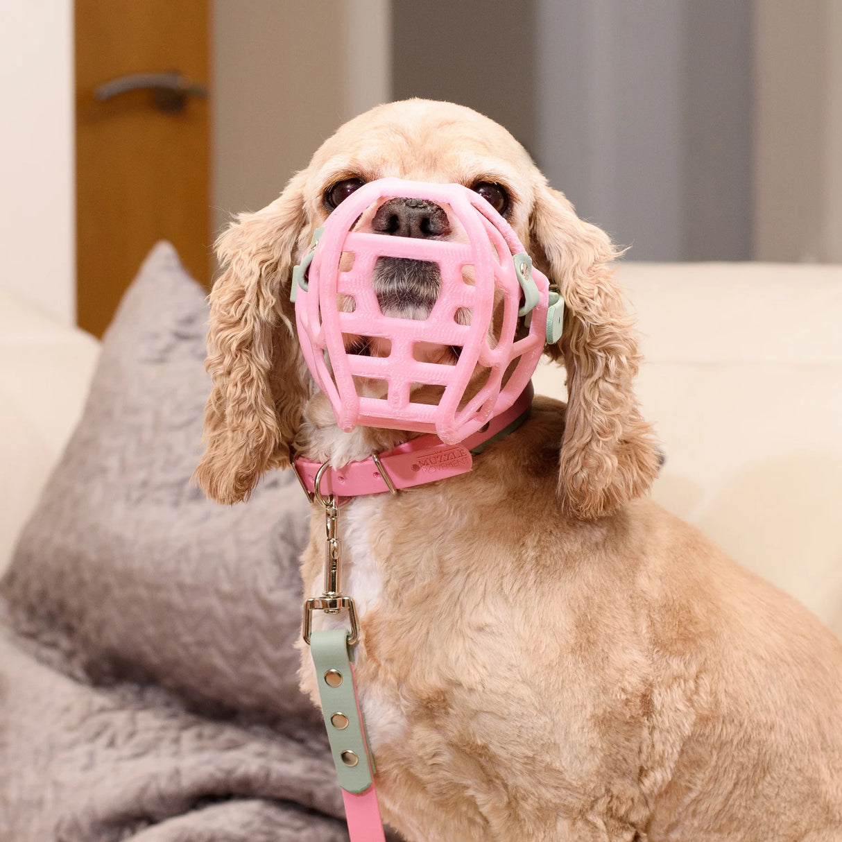 Mia Muzzle (COMING SOON Sept 2026) Price TBC