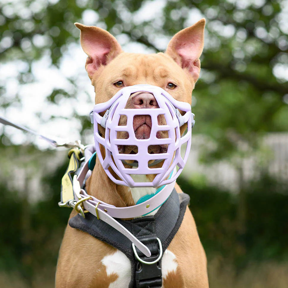 Pippa Muzzle