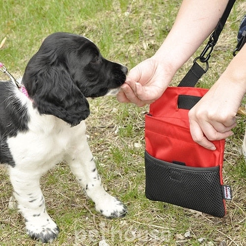 Coastal Multi-Function Dog Treat Bag