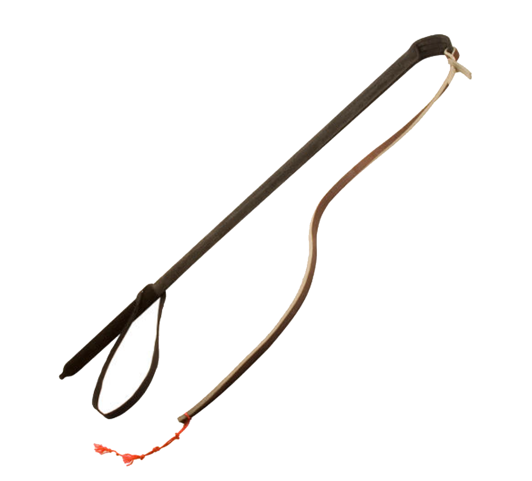 Dog Agitation Teaser