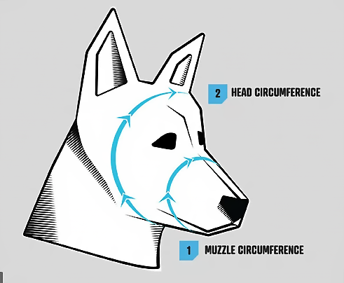 Rex Specs Original Apollo Blue with Blue Mirror Lens - Reduced to clear