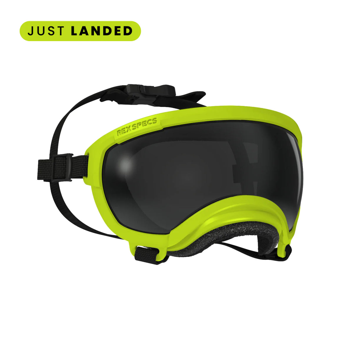 Rex Specs V2 Dog Goggles Large