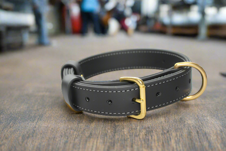 40MM WIDE DOUBLE LAYERED BIOTHANE DOG COLLAR