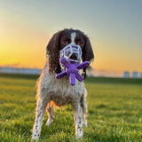 Muzzle Mates Muzzle Friendly Fetch Toy