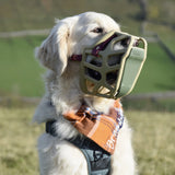 Scavenger Guard