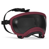 Rex Specs V2 Dog Goggles Medium