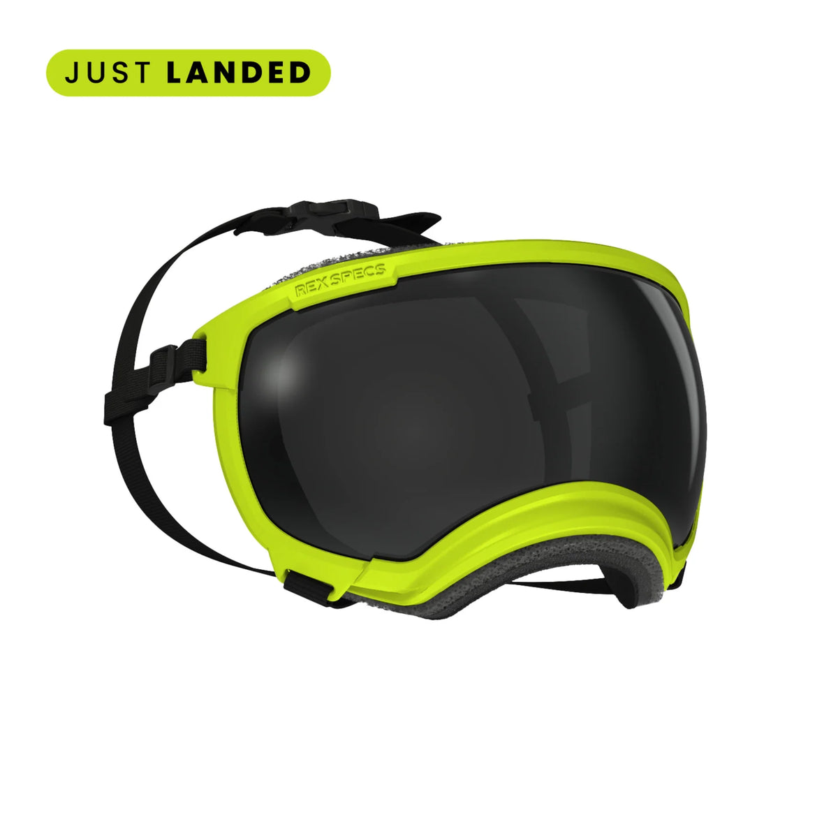 Rex Specs V2 Dog Goggles Xtra Small
