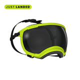 Rex Specs V2 Dog Goggles Xtra Small