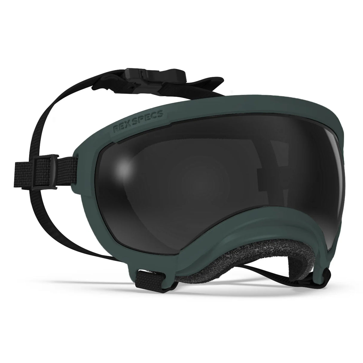 Rex Specs V2 Dog Goggles Medium