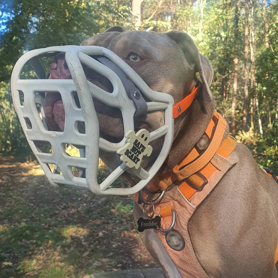 Snooties™ – Muzzle Charm