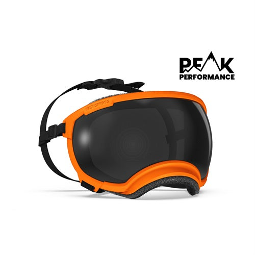 Rex Specs V2 Dog Goggles Small