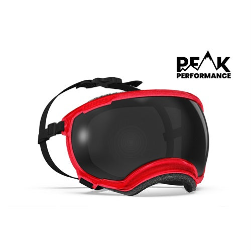 Rex Specs V2 Dog Goggles Xtra Small – Delta Canine