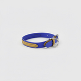 Gold on royal blue Stainless hardware