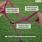 Halter "PLUS" Biothane Dog Lead