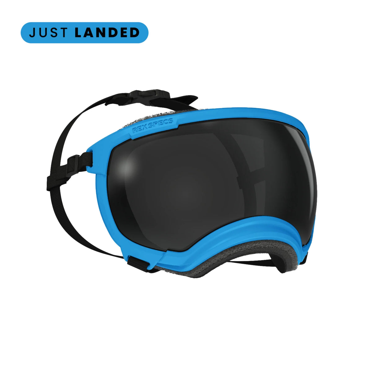 Rex Specs V2 Dog Goggles Large