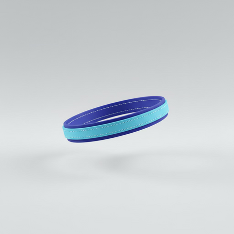 Light Blue accent on Royal blue base