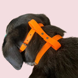 Biothane Muzzle Stop