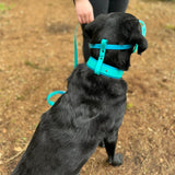 Biothane Muzzle Stop