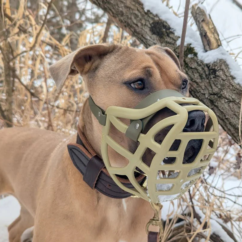 Pippa Muzzle