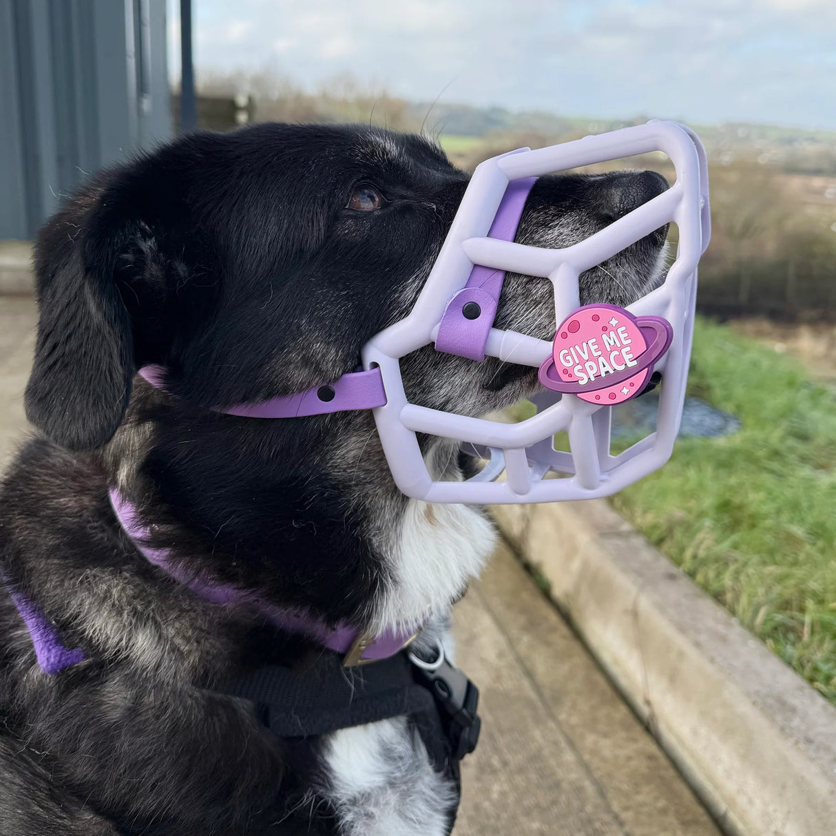Snooties™ – Muzzle Charm