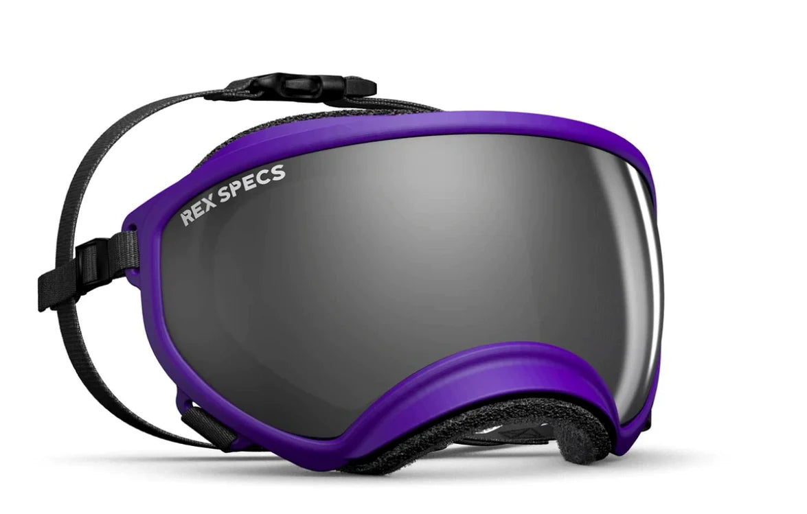 Rex Specs V2 Dog Goggles Medium