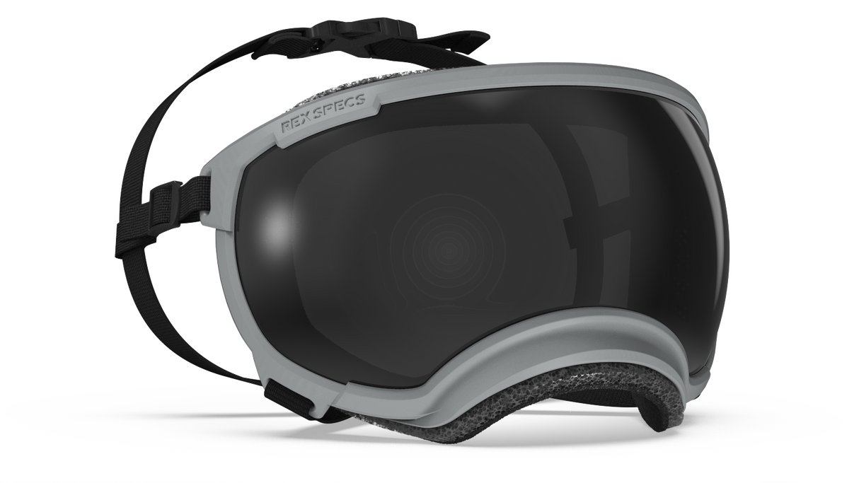 Rex Specs V2 Dog Goggles Small