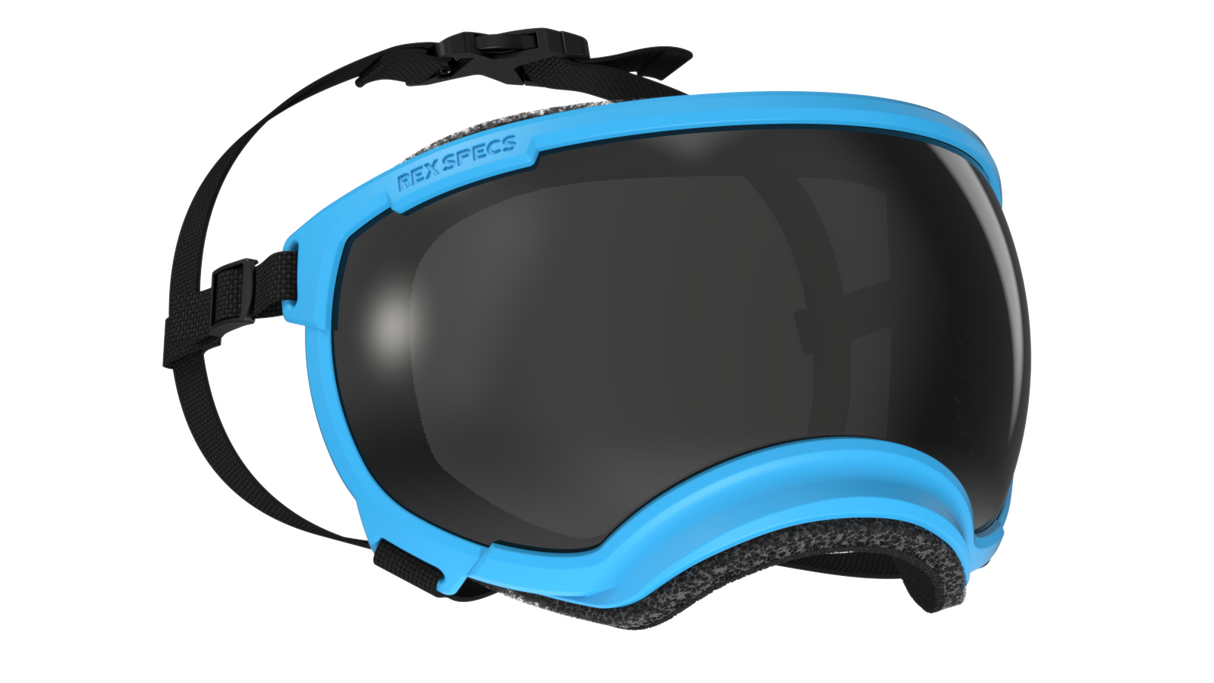 Rex Specs V2 Dog Goggles Large