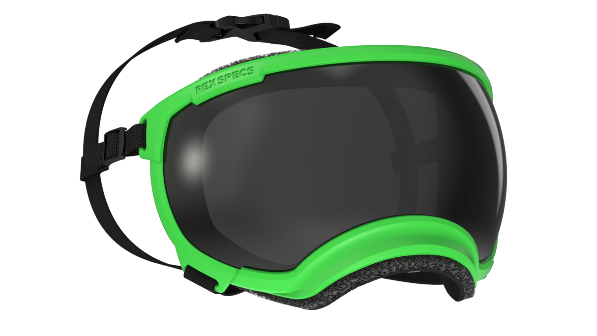 Rex Specs V2 Dog Goggles Medium