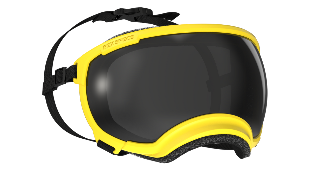 Rex Specs V2 Dog Goggles Medium