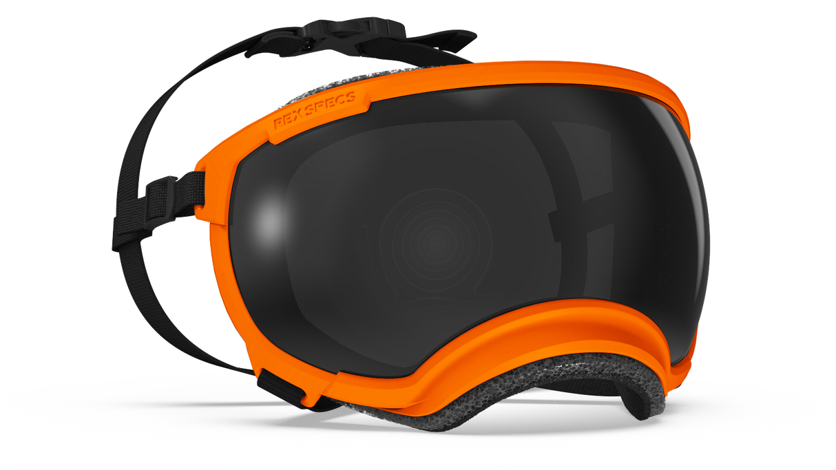 Rex Specs V2 Dog Goggles Medium