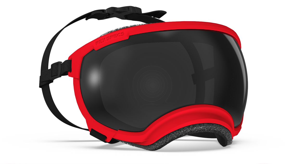 Rex Specs V2 Dog Goggles Medium