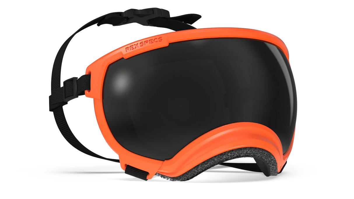 Rex Specs V2 Dog Goggles Medium