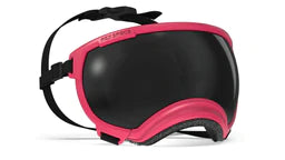 Rex Specs V2 Dog Goggles Medium