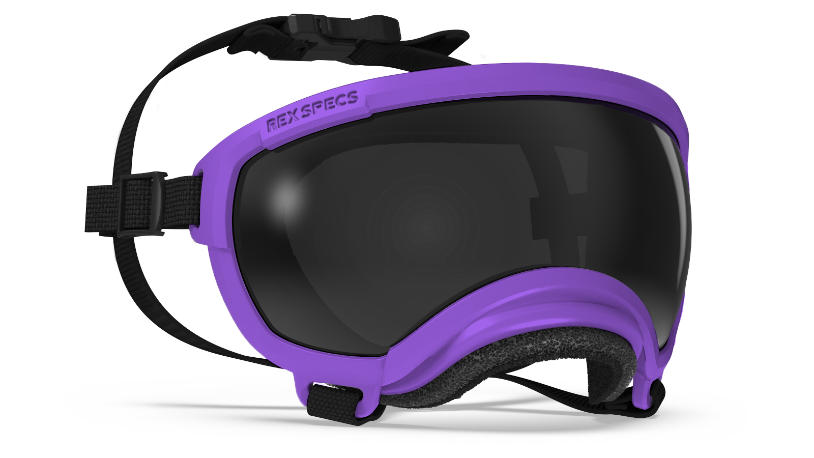 Rex Specs V2 Pike Purple Frame
