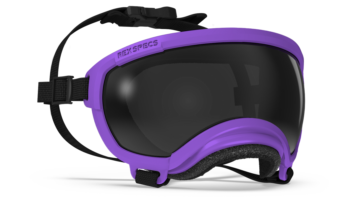 Rex Specs V2 Dog Goggles Medium