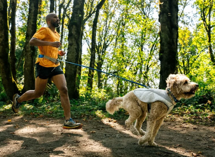 Ruffwear Swamp Cooler Cooling Vest