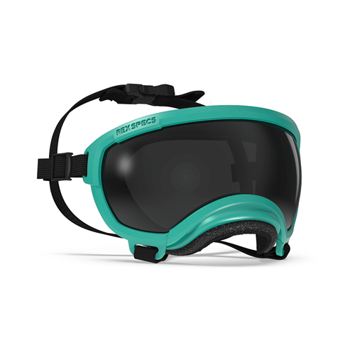 Rex Specs V2 Dog Goggles Medium