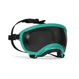 Rex Specs V2 Dog Goggles Large