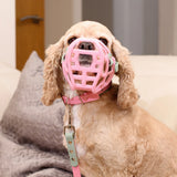 Mia Muzzle (COMING SOON Sept 2026) Price TBC