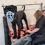 Taz Muzzle