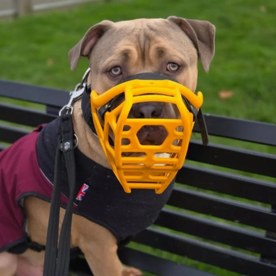 Mitzy Muzzle - Short & Wide Fit (Largest Size)
