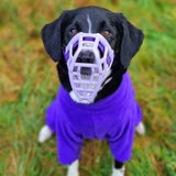 Neli Muzzle