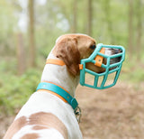 Neli Muzzle