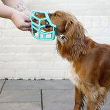 Rex Muzzle